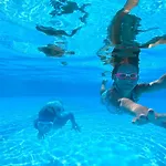 Akka Antedon Θέρετρο